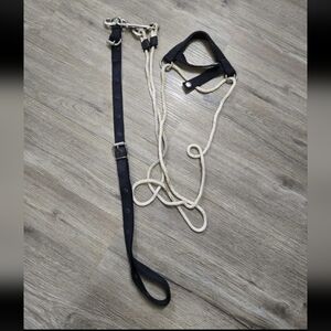 Chambon horse Training Aid For Lounging English Western Horse Tack